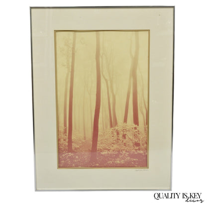 Vintage David Lorenz Winston "Seven Trees" Landscape Signed Framed Art Print