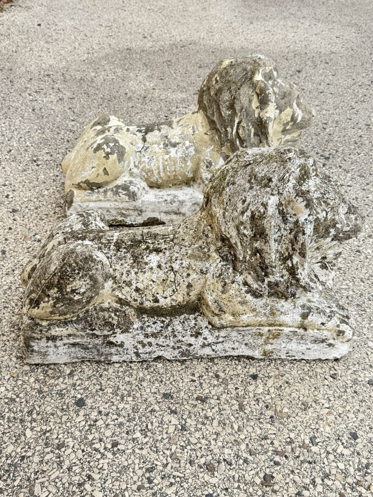 Vintage Classical Style Cast Cement Concrete Guardian Entry Lions - Pair