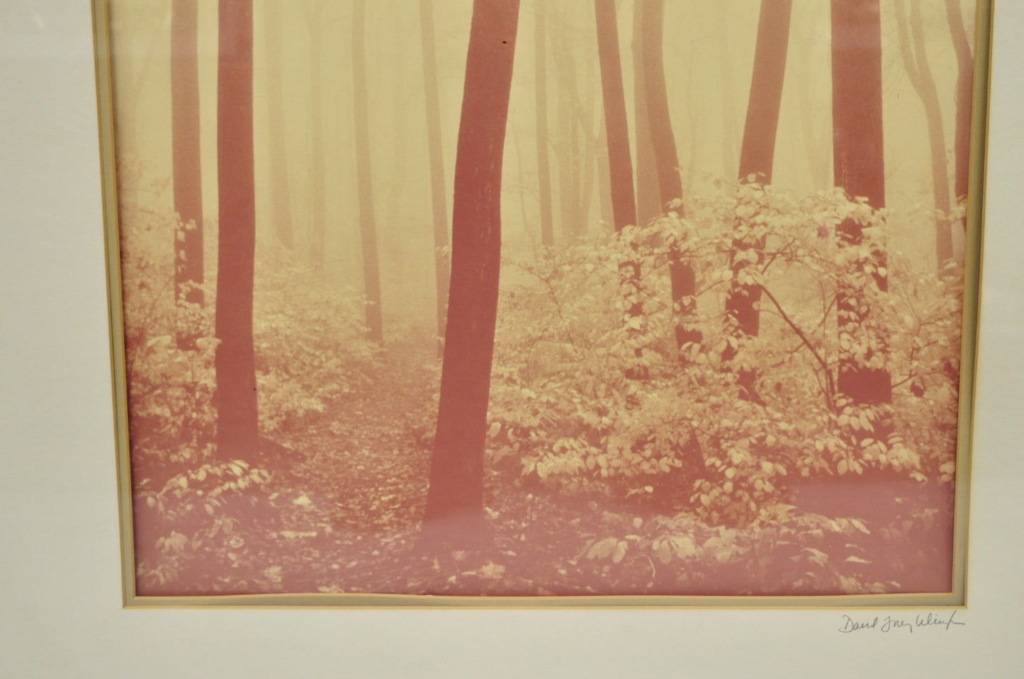 Vintage David Lorenz Winston "Seven Trees" Landscape Signed Framed Art Print