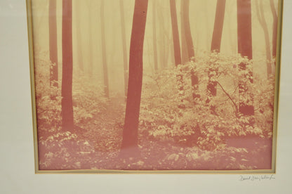 Vintage David Lorenz Winston "Seven Trees" Landscape Signed Framed Art Print