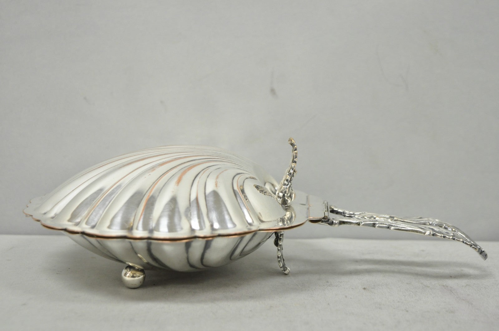 Antique English Regency Silver Plated Clam Shell Table Butler Serving Dish