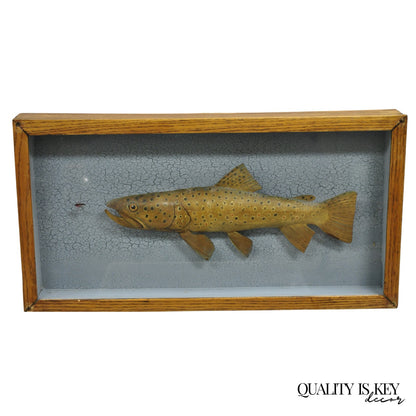 Vintage Folk Art Painted Wood "Brown Trout with Fly" Shadowbox Faux Taxidermy