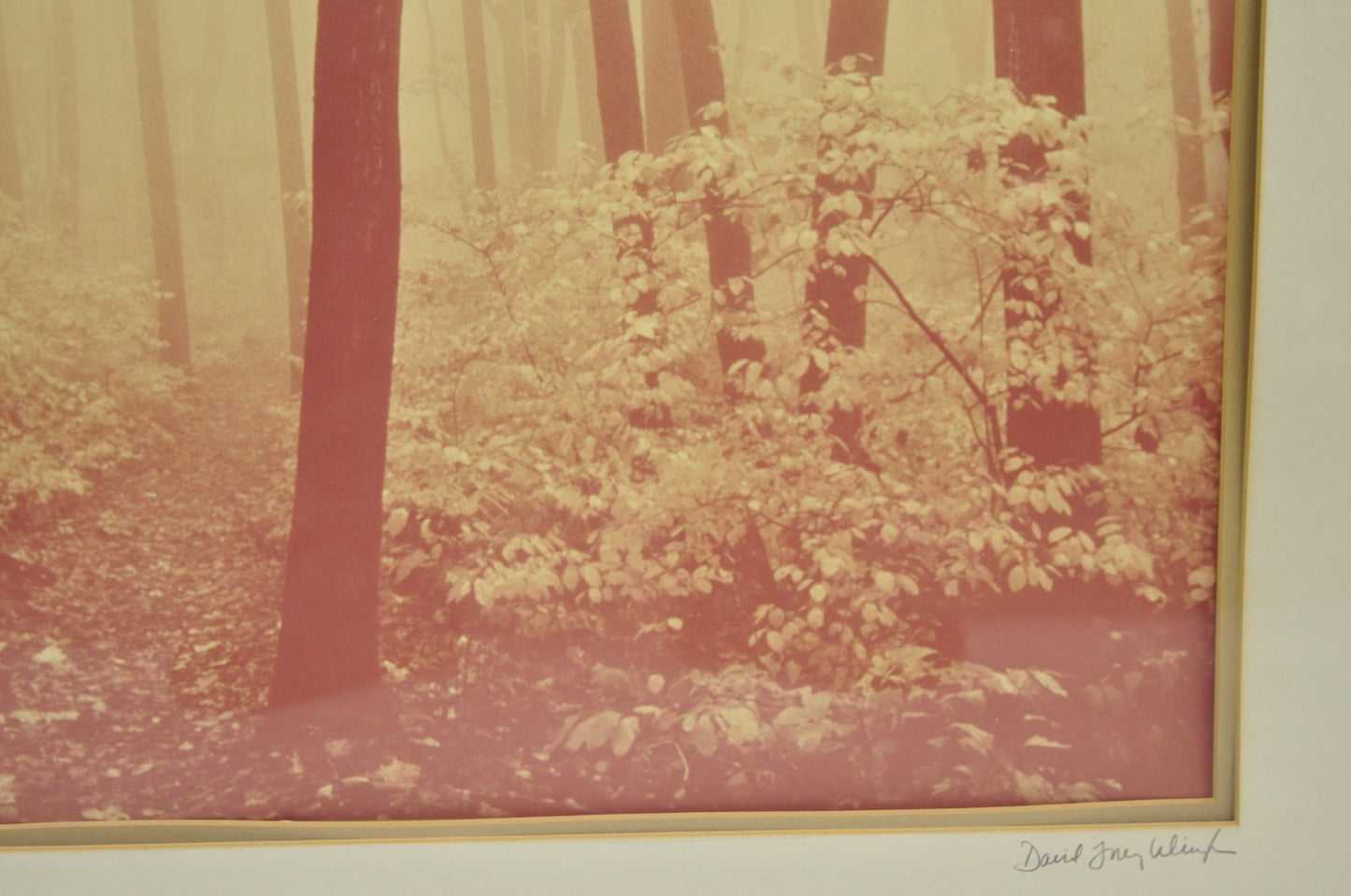 Vintage David Lorenz Winston "Seven Trees" Landscape Signed Framed Art Print