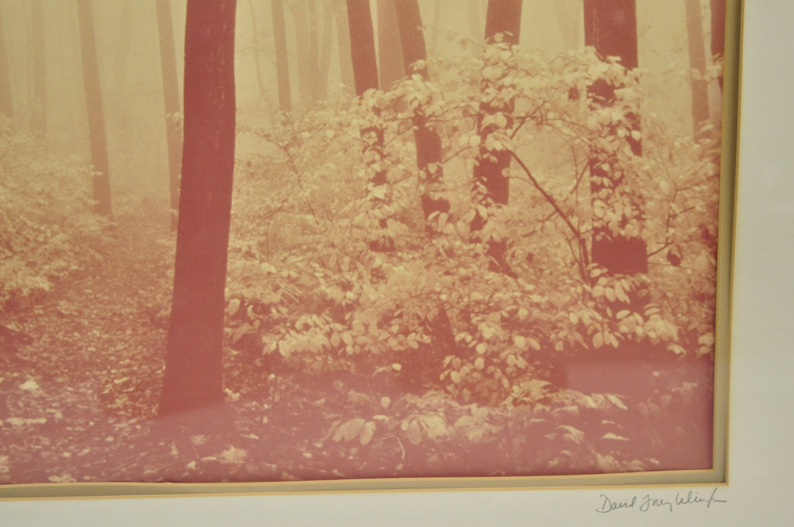 Vintage David Lorenz Winston "Seven Trees" Landscape Signed Framed Art Print