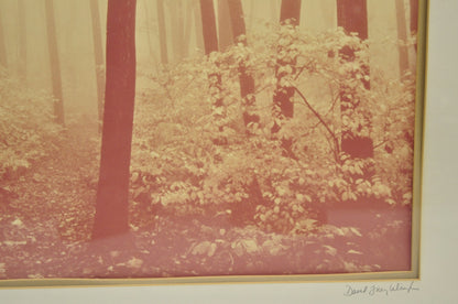 Vintage David Lorenz Winston "Seven Trees" Landscape Signed Framed Art Print