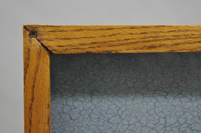 Vintage Folk Art Painted Wood "Brown Trout with Fly" Shadowbox Faux Taxidermy