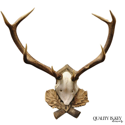 Antique Black Forest Victorian Wall Mounted Taxidermy Large Deer Skull & Antlers