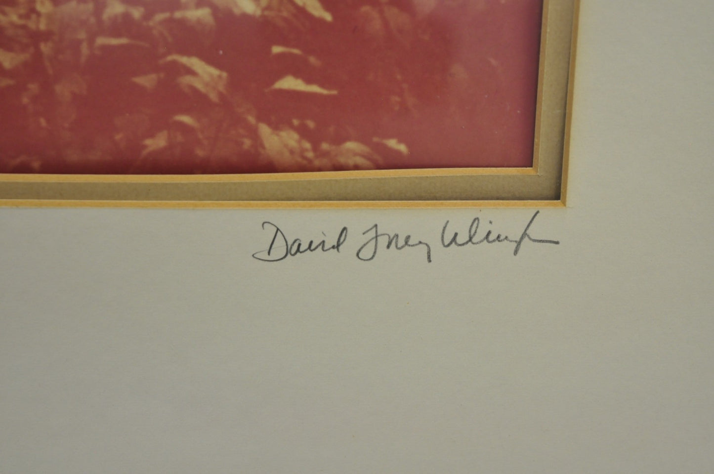 Vintage David Lorenz Winston "Seven Trees" Landscape Signed Framed Art Print