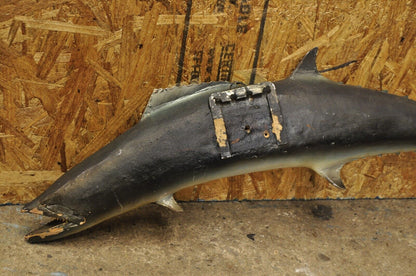 Vintage Kanadi Kingfish Mackerel Fish Replica Wall Mount Taxidermy Fishing Decor