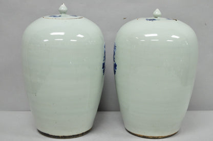 Antique Chinese Phoenix Bird Celadon Green Porcelain Covered Ginger Jar - Pair