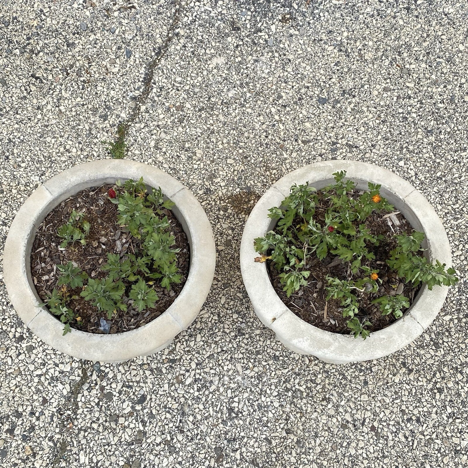 Vintage Cast Concrete Stone 15" Round Cement Urn Garden Planter Pot - a Pair