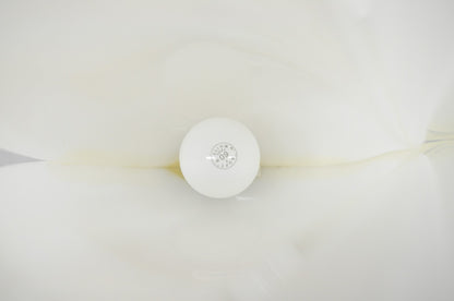 Vintage Roger Rougier White Acrylic Clam Shell Mid Century Modern Table Lamp