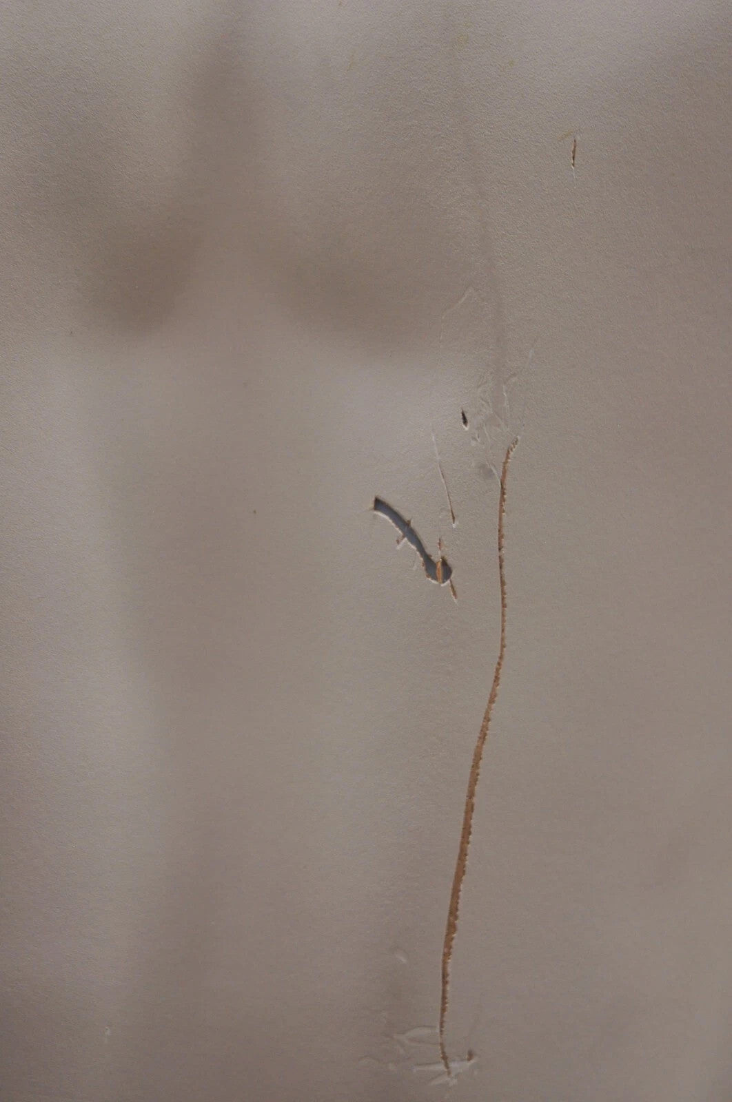 Male Fiberglass White Matte Finish Full Body Display Mannequin by Almax (B)