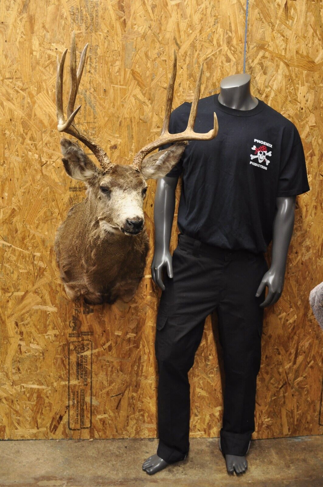 Vintage Mule Deer Buck Shoulder Mount Antler Rack Rustic Cabin Wall Decor