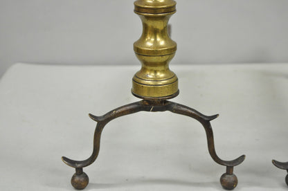 Antique English Federal Brass Branch Leg Cast Iron Fireplace Andirons - a Pair