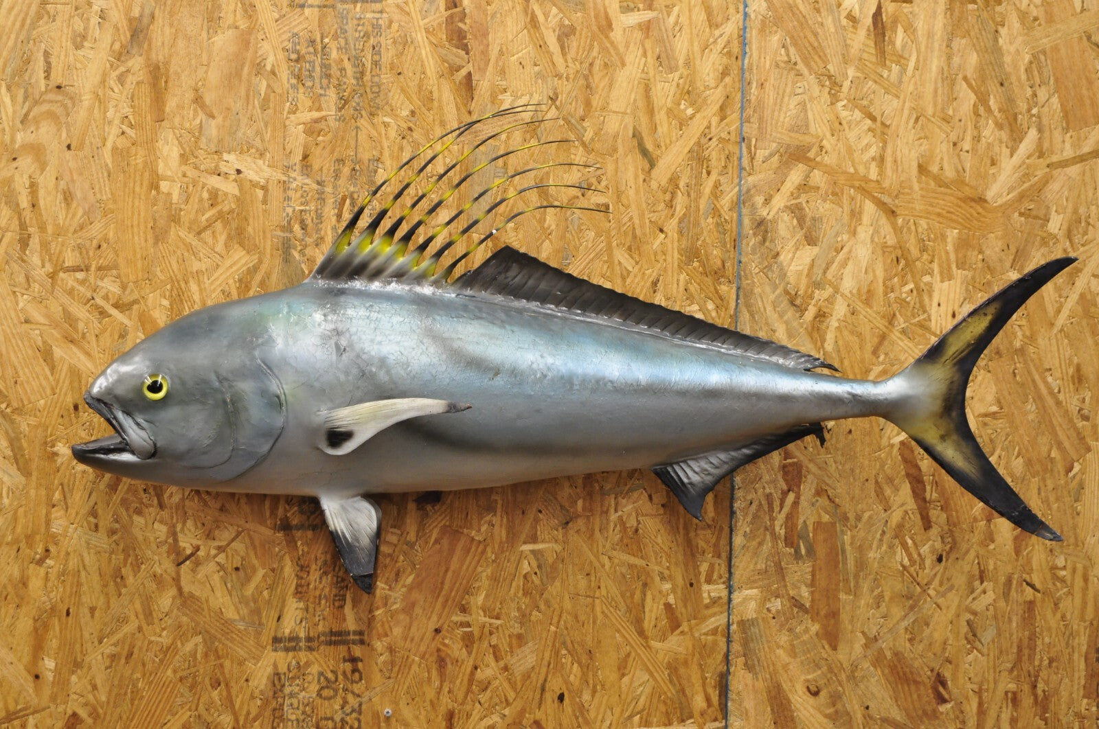 Vintage 46" Large Roosterfish Full Wall Mount Taxidermy Sailfish Fish Replica