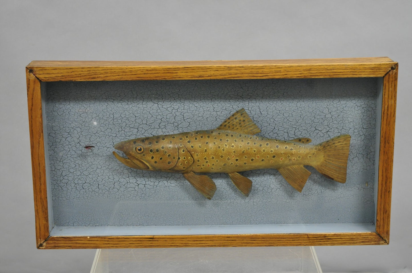 Vintage Folk Art Painted Wood "Brown Trout with Fly" Shadowbox Faux Taxidermy