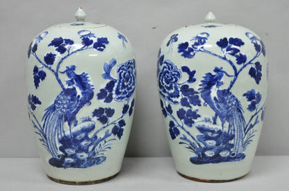 Antique Chinese Phoenix Bird Celadon Green Porcelain Covered Ginger Jar - Pair