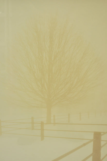 Vintage David Lorenz Winston Solitude Tree Fence Winter Landscape Signed Print