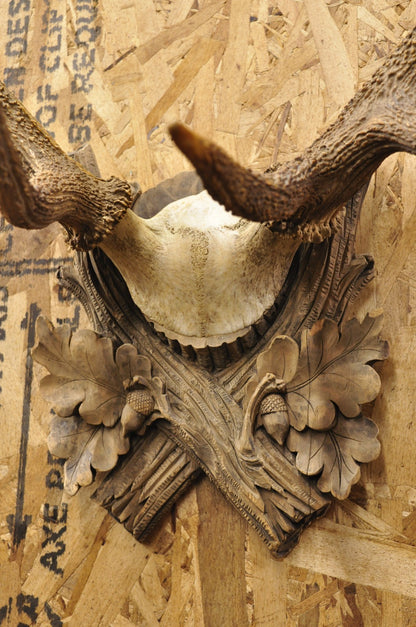 Antique Black Forest Victorian Wall Mounted Taxidermy Large Deer Skull & Antlers