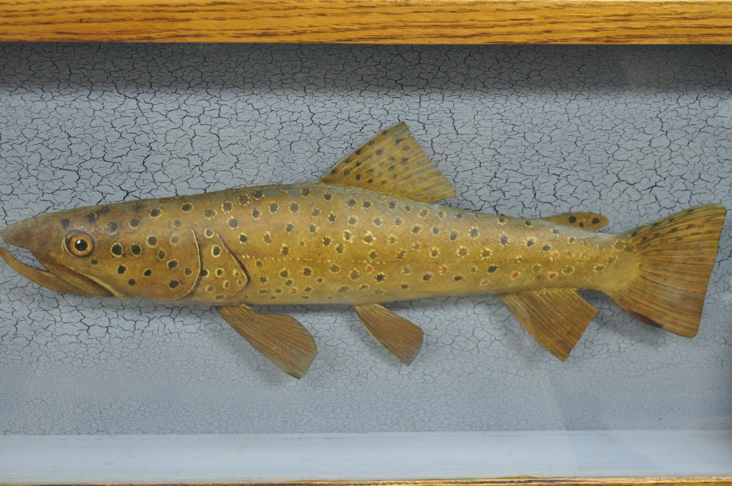 Vintage Folk Art Painted Wood "Brown Trout with Fly" Shadowbox Faux Taxidermy