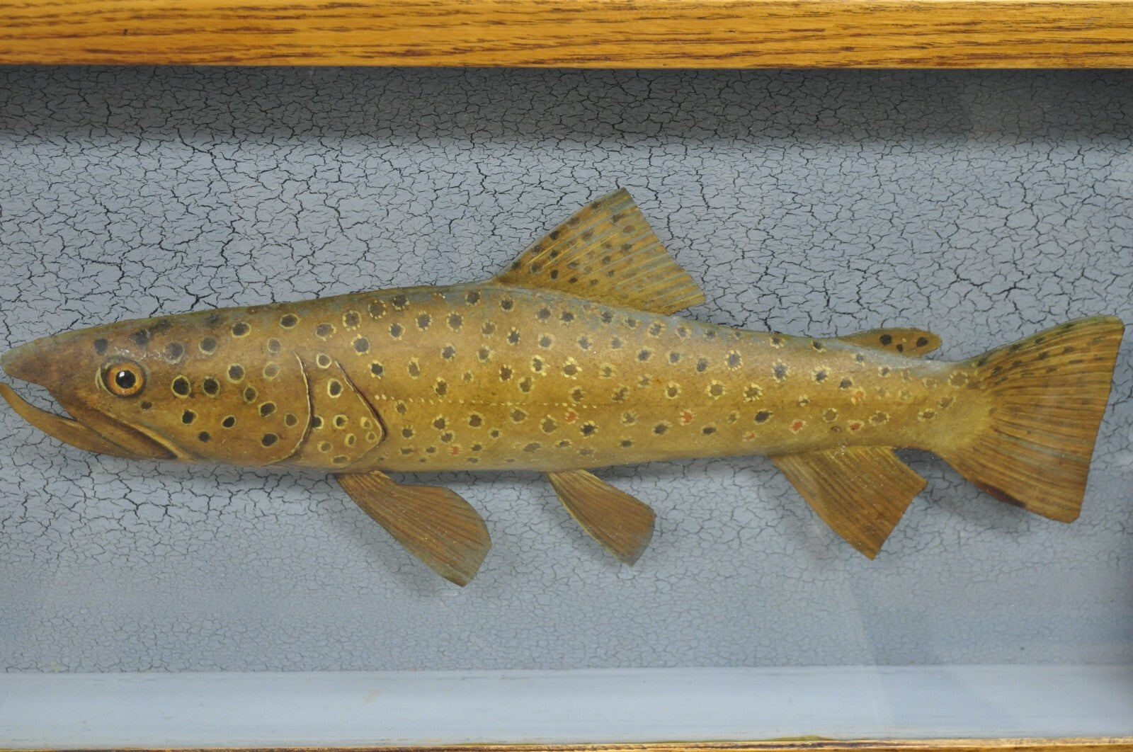 Vintage Folk Art Painted Wood "Brown Trout with Fly" Shadowbox Faux Taxidermy