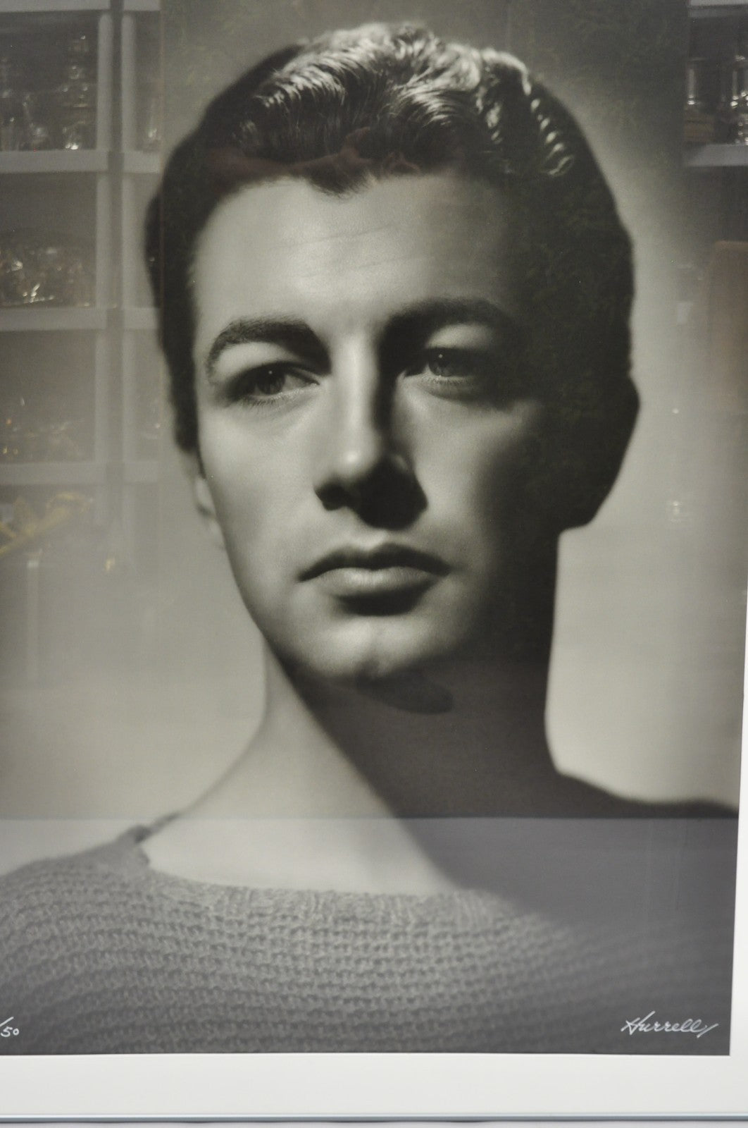 Robert Taylor George Hurrell 1930s Photograph 48x36 Gelatin Silver Print 23/50