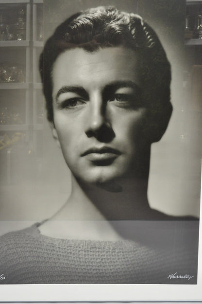 Robert Taylor George Hurrell 1930s Photograph 48x36 Gelatin Silver Print 23/50