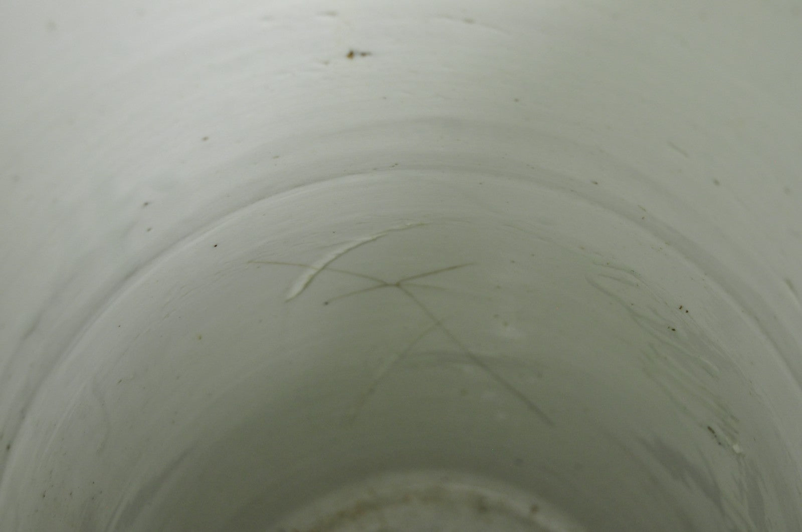 Japanese Porcelain Glazed Celadon Wisteria Flower & Butterfly Umbrella Stand