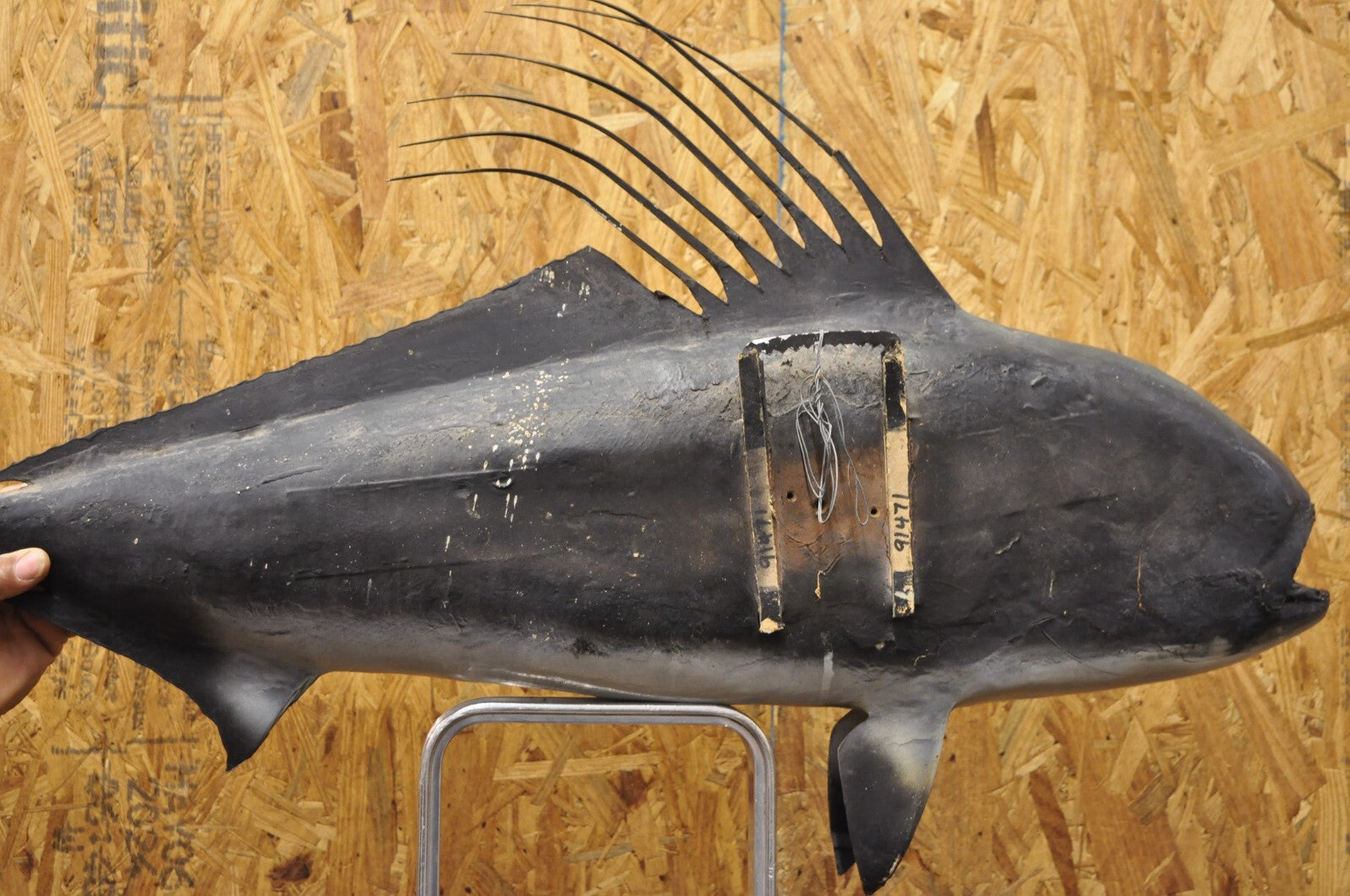 Vintage 46" Large Roosterfish Full Wall Mount Taxidermy Sailfish Fish Replica