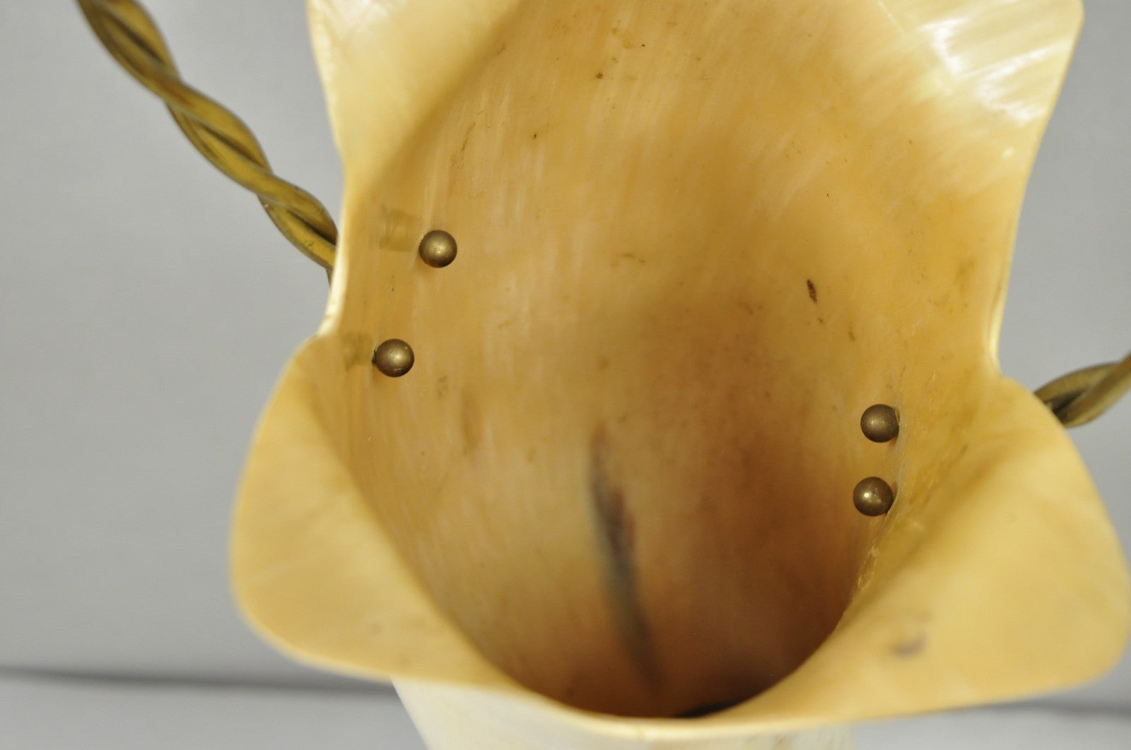 Vintage Italian Regency Large Cattle Cow Horn Vase on Sculpted Maple Wood Base