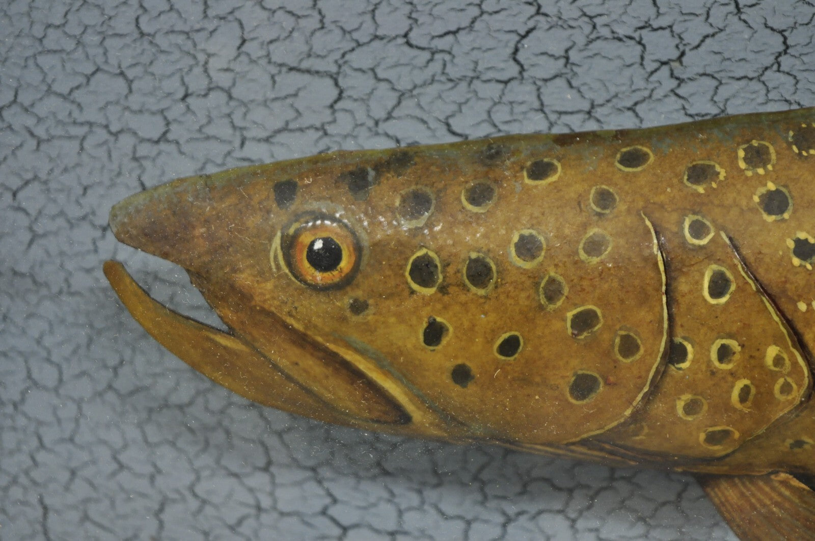 Vintage Folk Art Painted Wood "Brown Trout with Fly" Shadowbox Faux Taxidermy