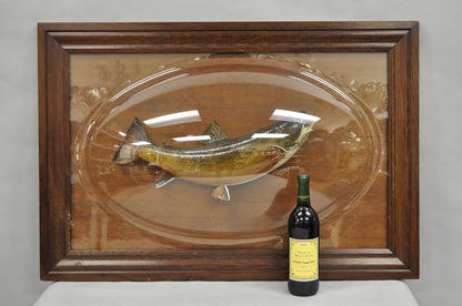 Antique Victorian Taxidermy Spotted Trout Framed in Large Convex Bubble Glass