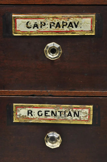 19th C. Victorian Mahogany Apothecary Medicine Cabinet w/ 10 Drawers Glass Pulls