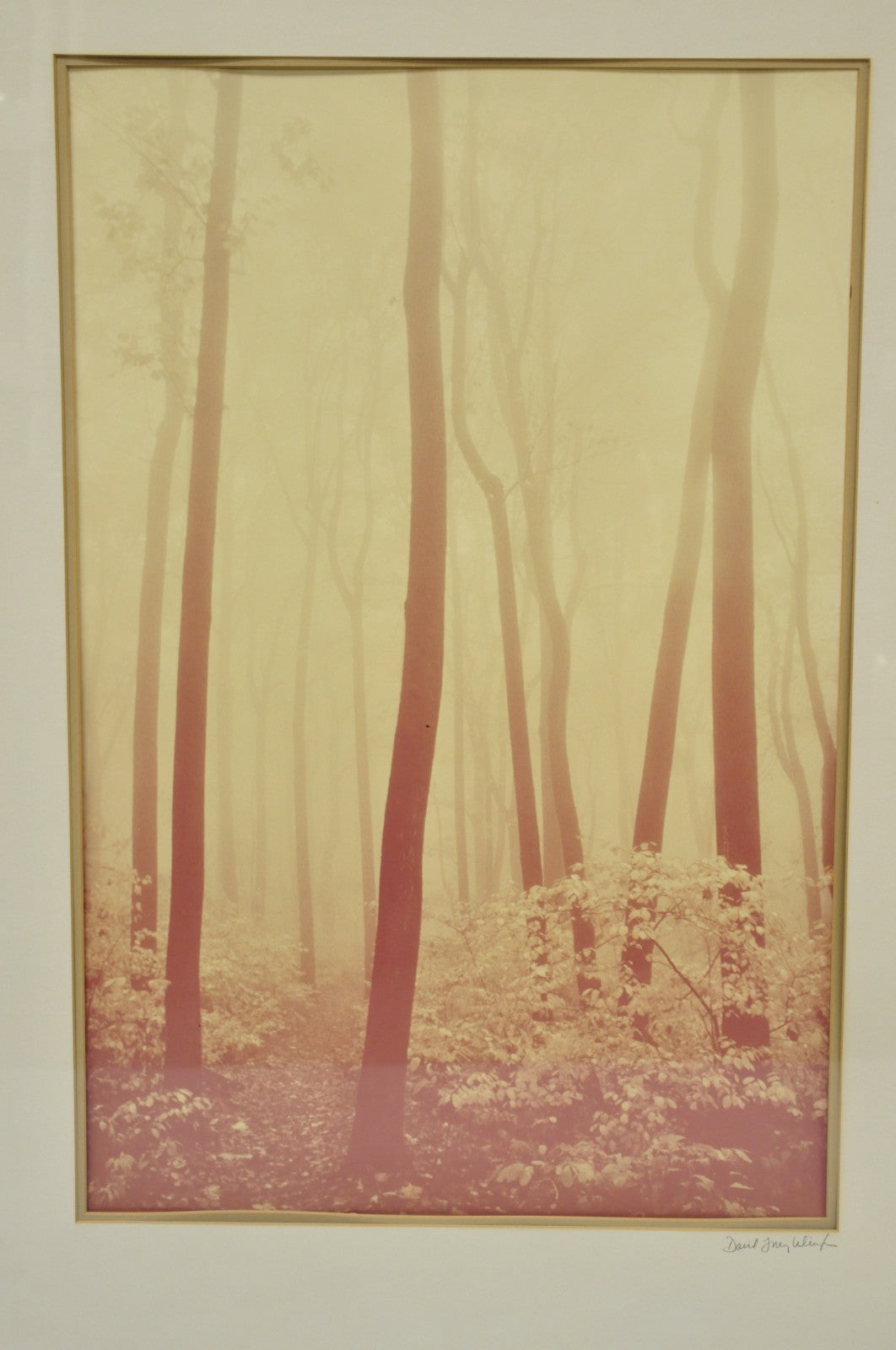 Vintage David Lorenz Winston "Seven Trees" Landscape Signed Framed Art Print