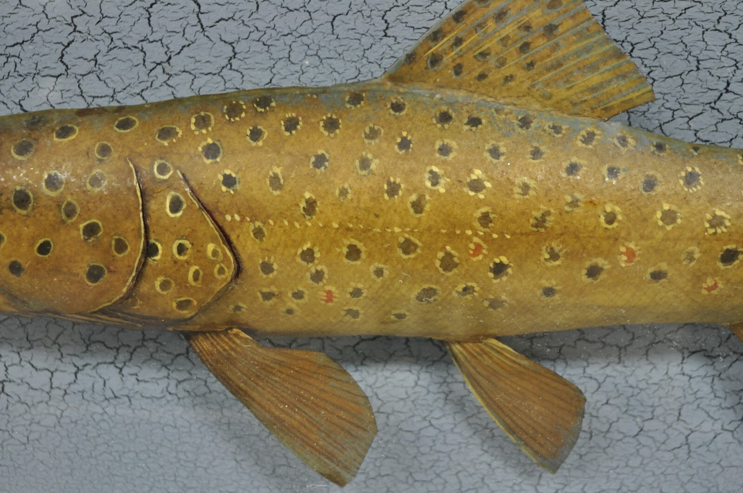 Vintage Folk Art Painted Wood "Brown Trout with Fly" Shadowbox Faux Taxidermy