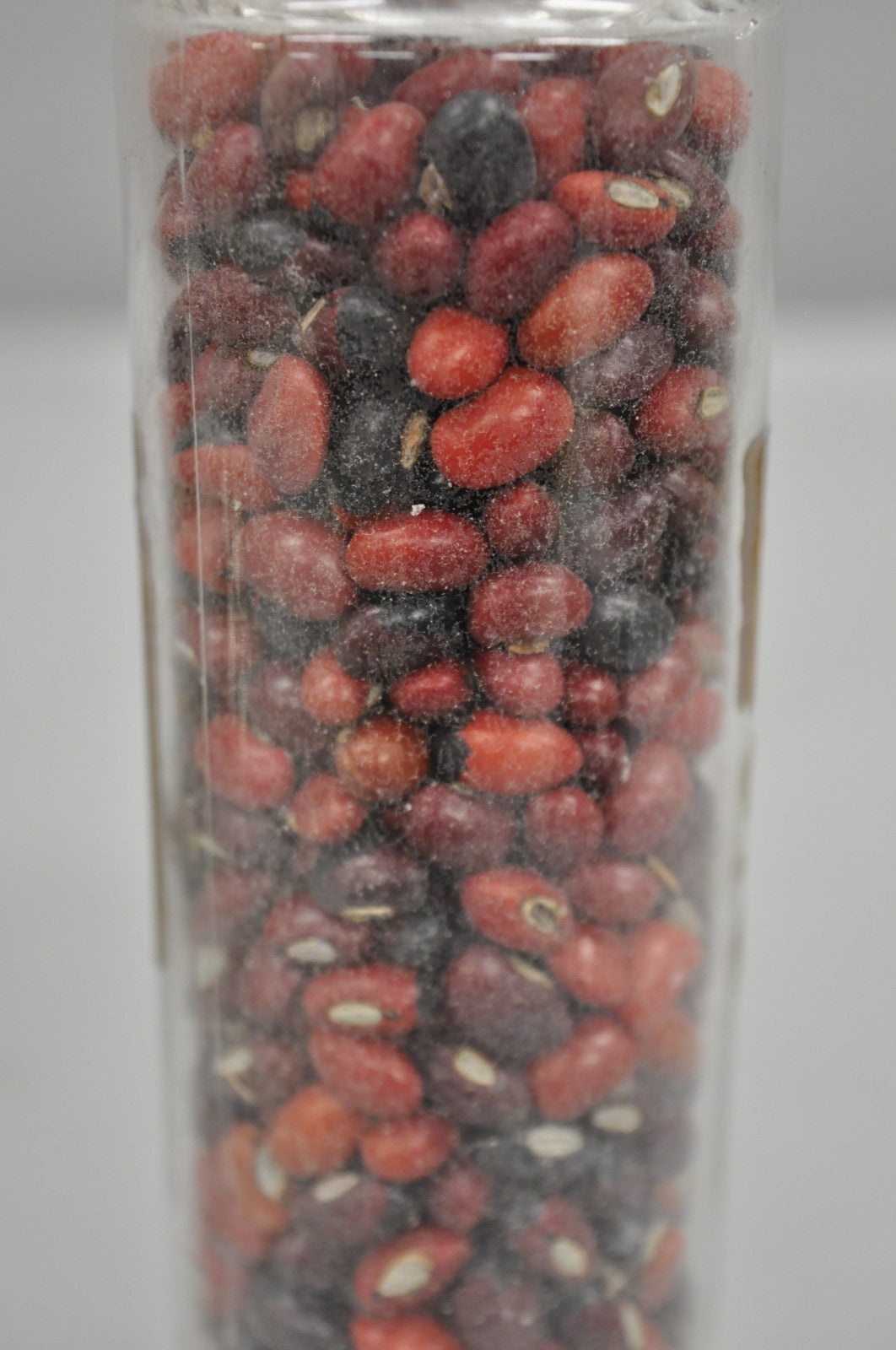Antique Tiffin Dakota Glass Apothecary Candy Jars from The Philadelphia Museum