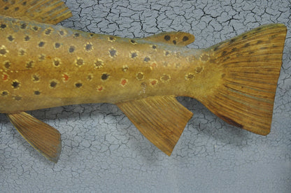 Vintage Folk Art Painted Wood "Brown Trout with Fly" Shadowbox Faux Taxidermy