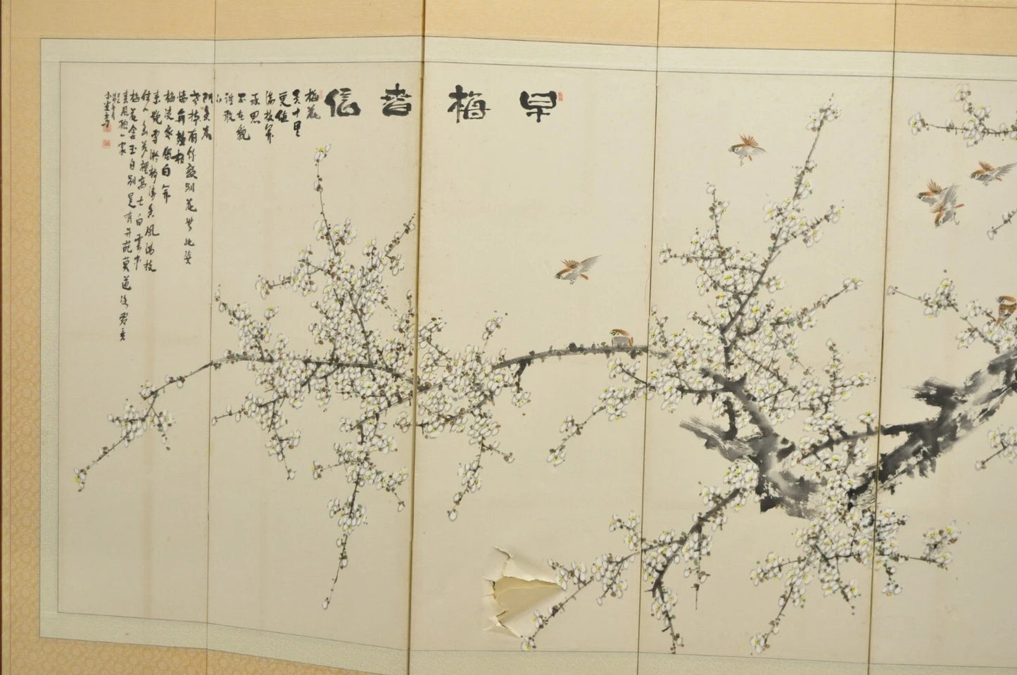 Chinoiserie Japanese Cherry Blossom Byobu 8 Panel Folding Screen Room Divider