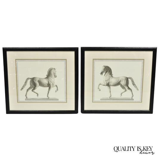 Vintage Regal Horse Sketch Equestrian Print Framed Art Wall Decor - (Set of 2)