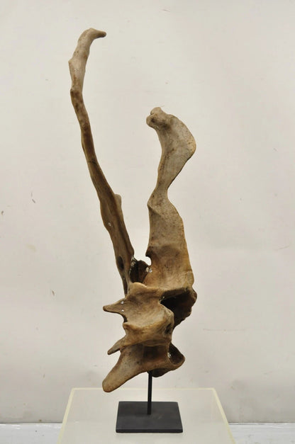 Vintage Abstract Sculpted Wood Sculptural Free Form Table Sculpture Statue