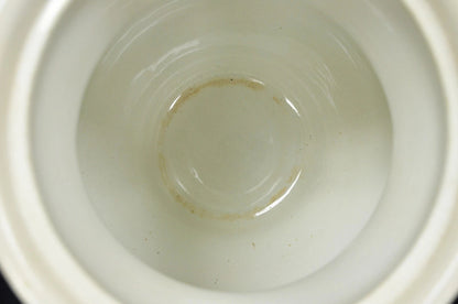 Antique Ironstone China Coxon & Co Green Porcelain Wash Bowl Basin & Pitcher