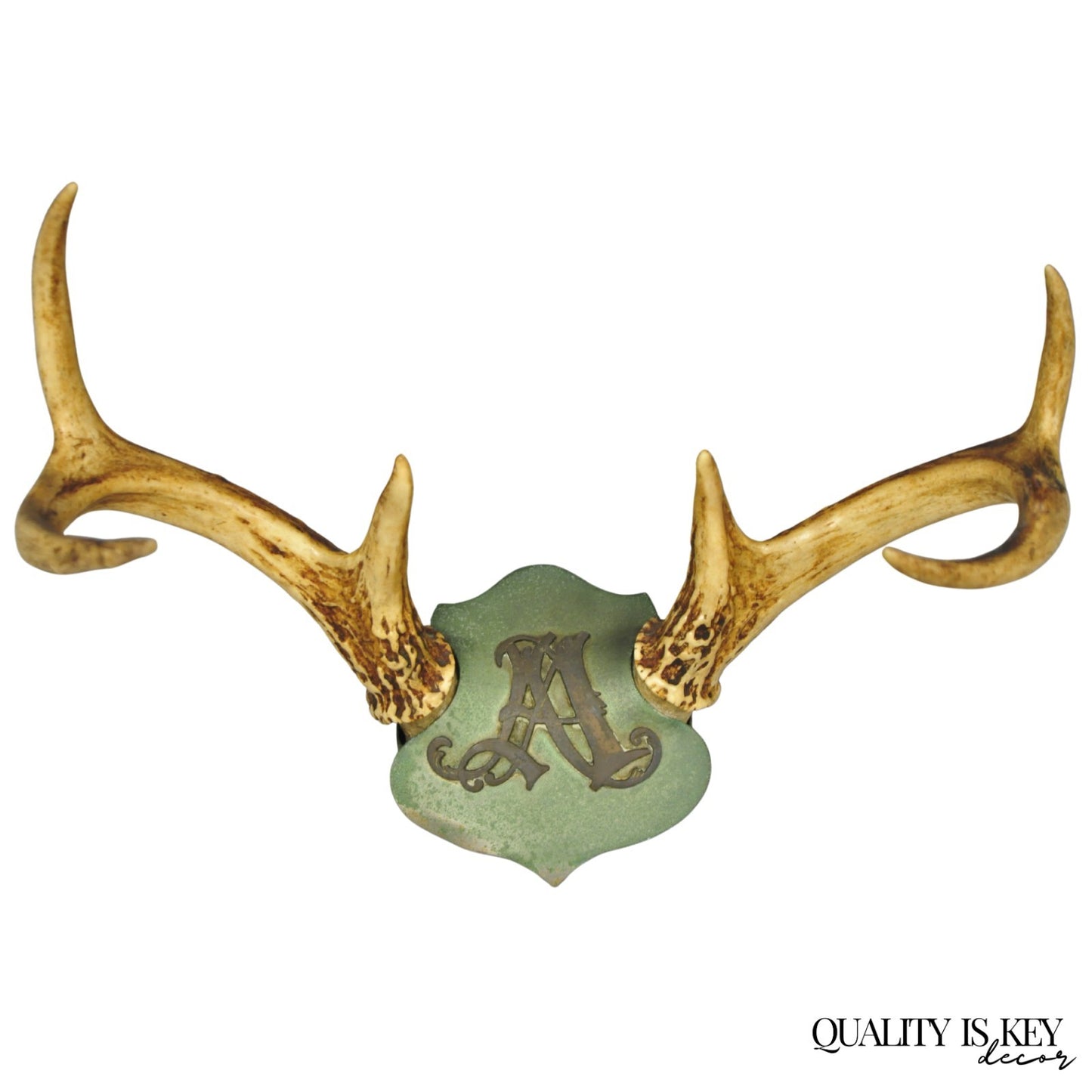 Antique Victorian Taxidermy Whitetail Deer Antler Wall Mount Metal Shield Plaque
