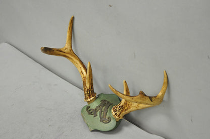 Antique Victorian Taxidermy Whitetail Deer Antler Wall Mount Metal Shield Plaque