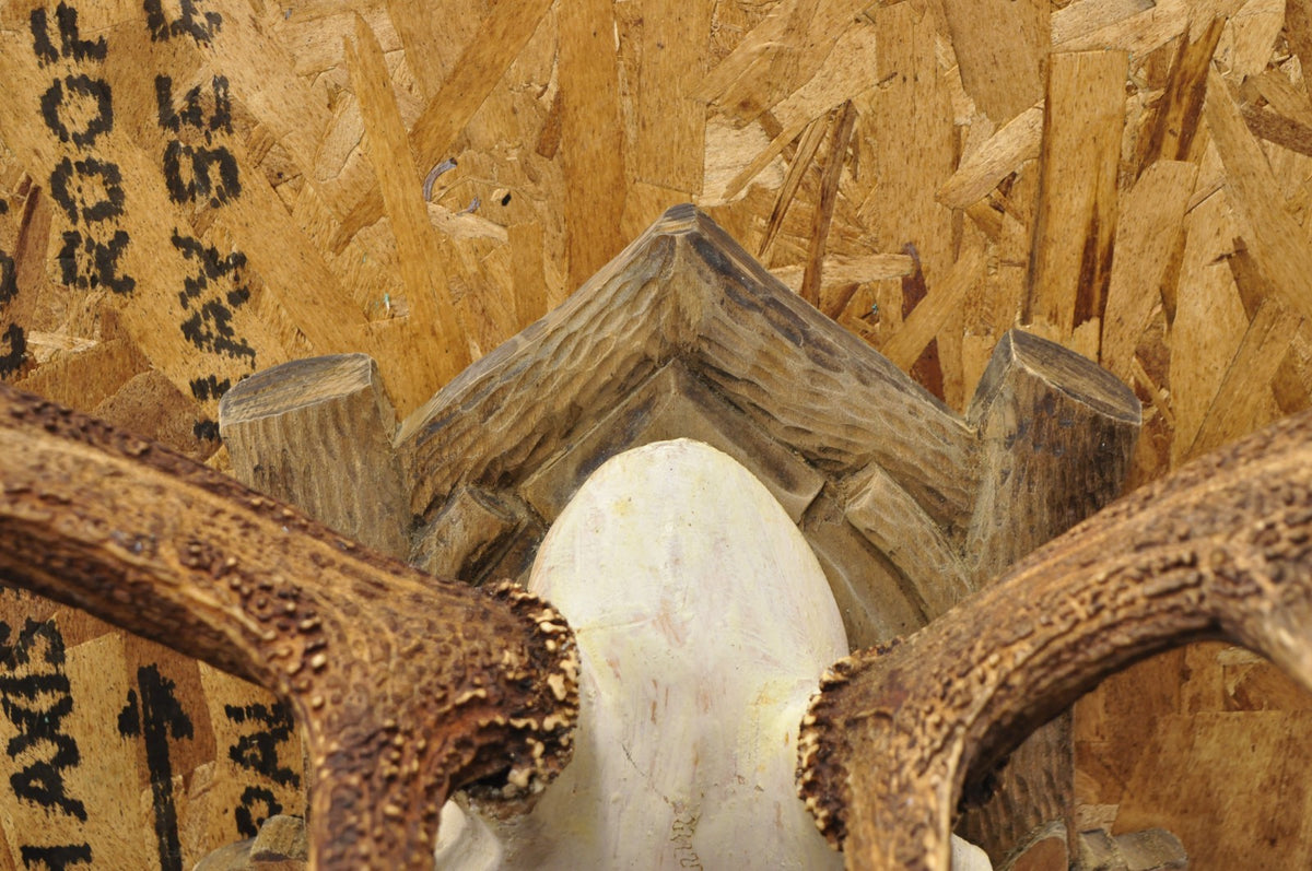 Antique Black Forest Victorian Wall Mounted Taxidermy Large Deer Skull & Antlers