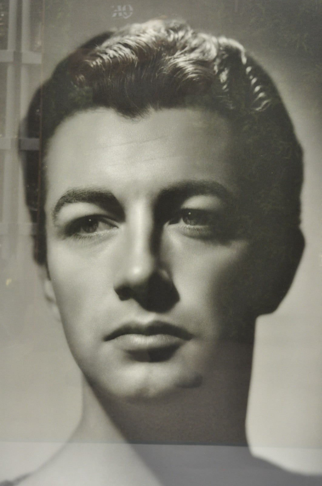 Robert Taylor George Hurrell 1930s Photograph 48x36 Gelatin Silver Print 23/50