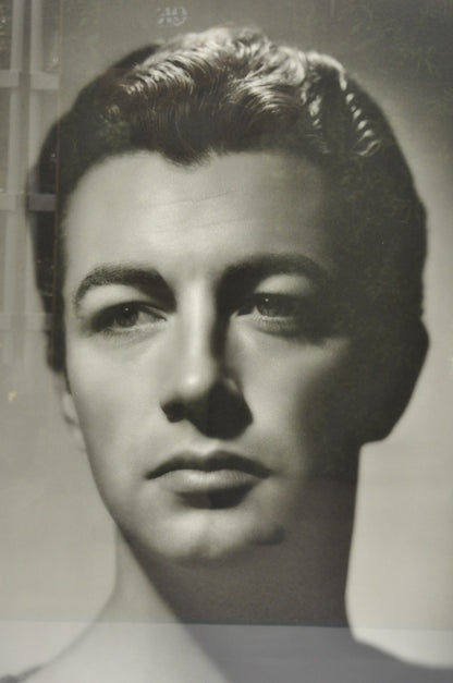 Robert Taylor George Hurrell 1930s Photograph 48x36 Gelatin Silver Print 23/50