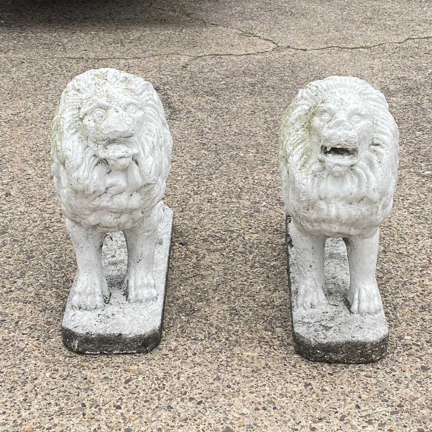 Vintage Classical Style Standing Lion Cement Guardian Entry Garden Statue - Pair