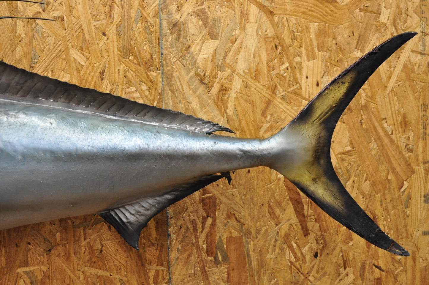 Vintage 46" Large Roosterfish Full Wall Mount Taxidermy Sailfish Fish Replica
