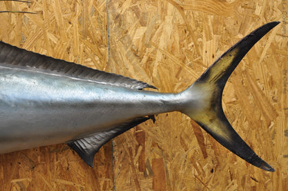 Vintage 46" Large Roosterfish Full Wall Mount Taxidermy Sailfish Fish Replica
